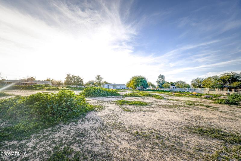 Large fenced pasture