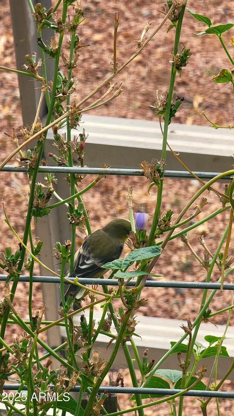 home to so many birds