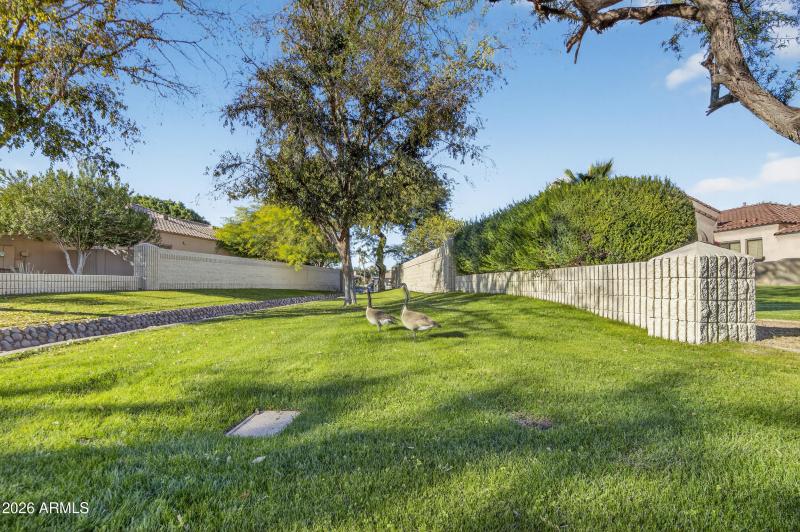 13_074_a4m_drone:oct