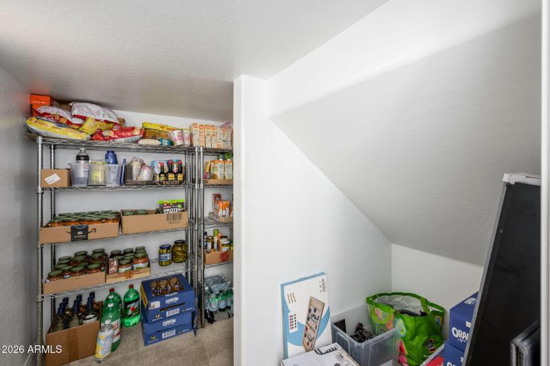 5-web-or-mls-Creosote-13