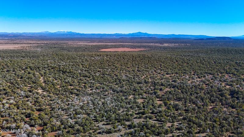 dji_fly_20260116_135104_0114_17686731646