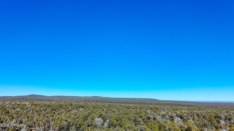 dji_fly_20260116_140058_0151_17686731536