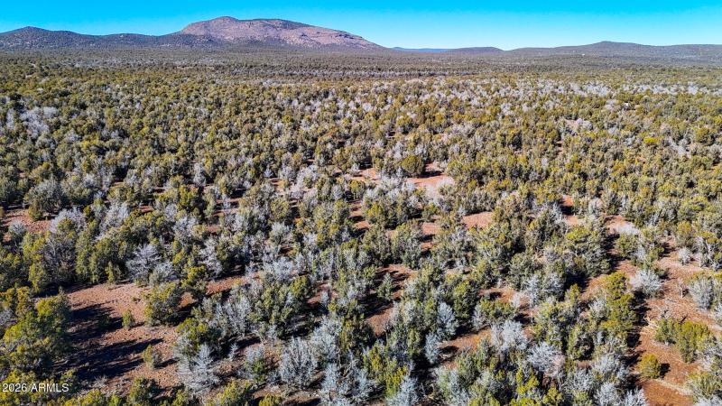 dji_fly_20260116_140102_0152_17686731534