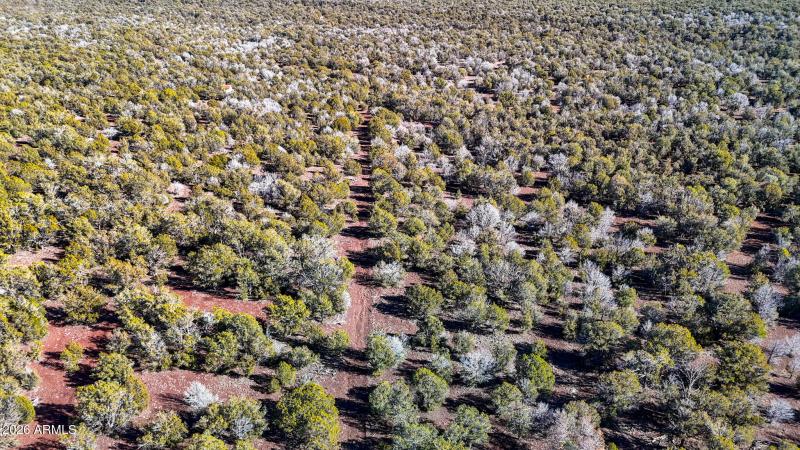 dji_fly_20260116_140158_0158_17686731511