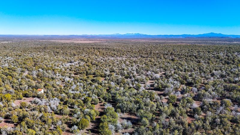 dji_fly_20260116_140204_0162_17686731495