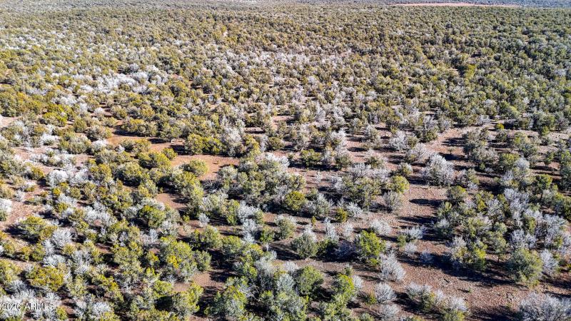 dji_fly_20260116_140210_0164_17686731486