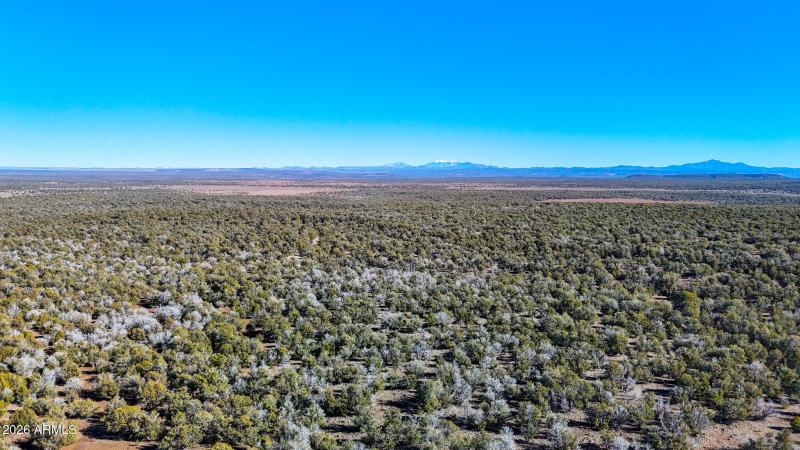 dji_fly_20260116_140212_0165_17686731482