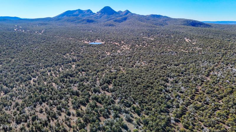 dji_fly_20260116_140244_0166_17686731478