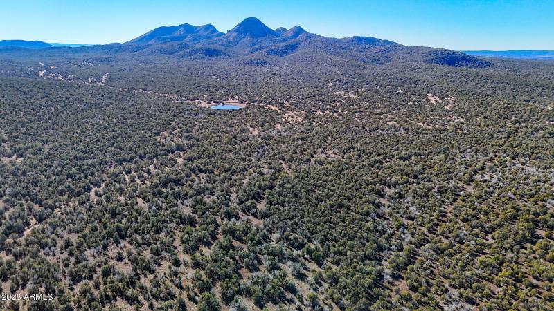 dji_fly_20260116_140248_0168_17686731471