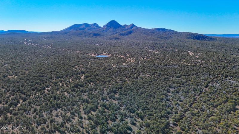 dji_fly_20260116_140252_0169_17686731467