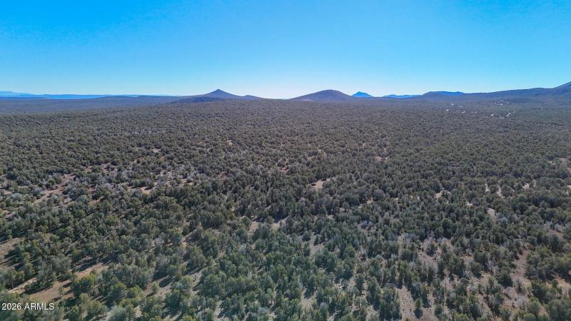 dji_fly_20260116_140258_0170_17686731464