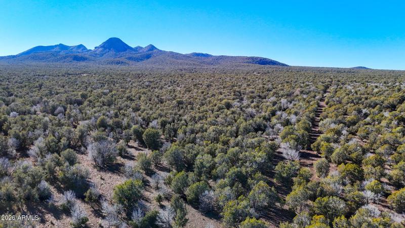 dji_fly_20260116_140304_0171_17686731461