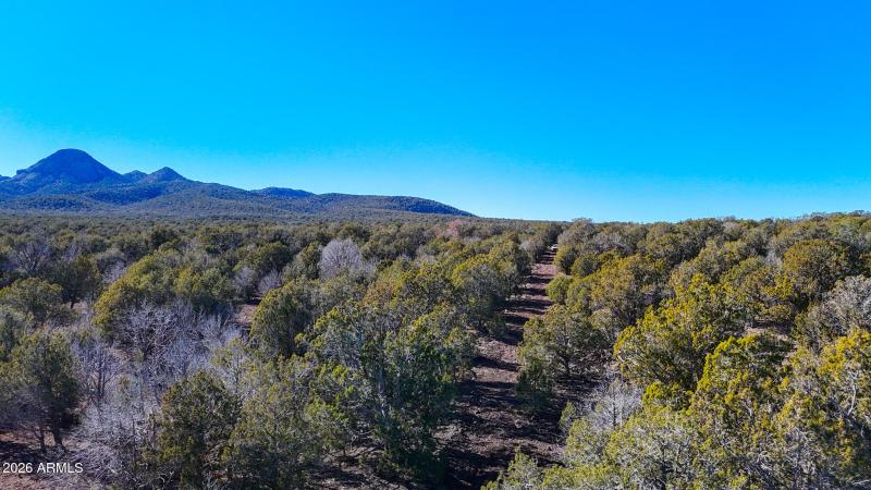 dji_fly_20260116_140316_0175_17686731449