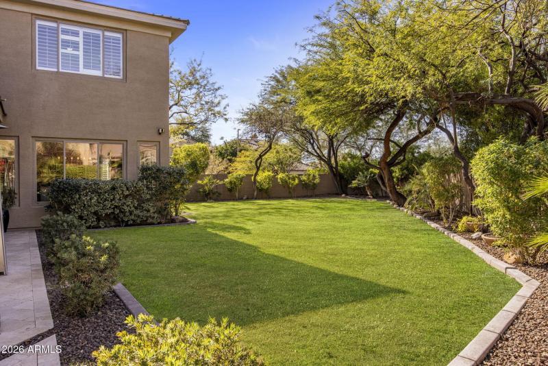 Amazing Backyard Space