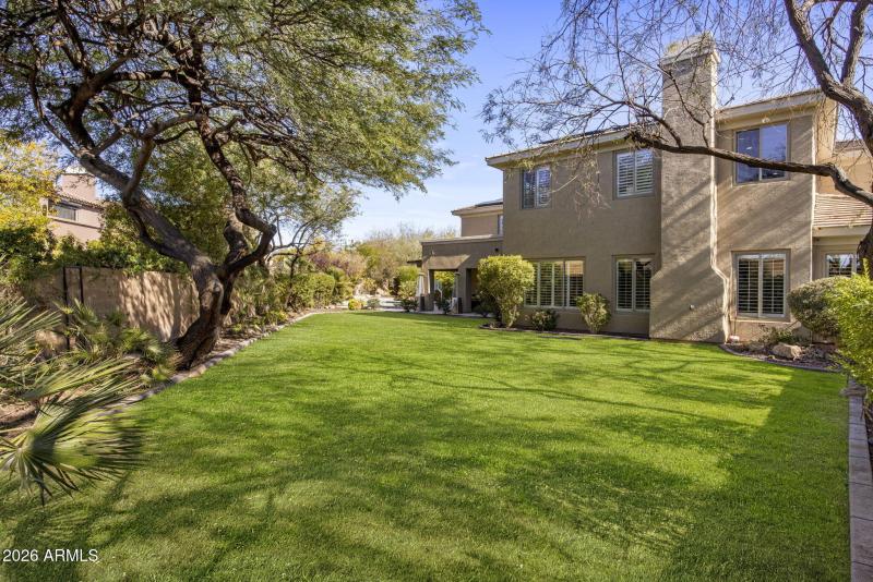 Beautiful Natural Grass Backyard