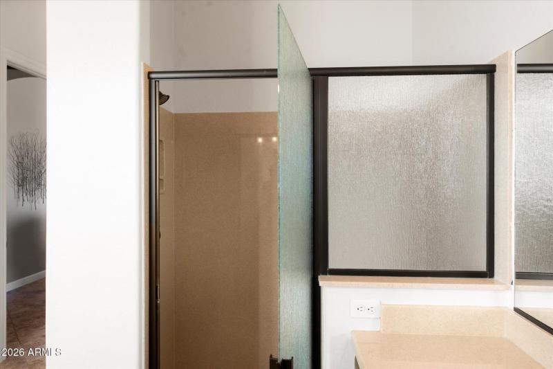 Privacy Glass Shower