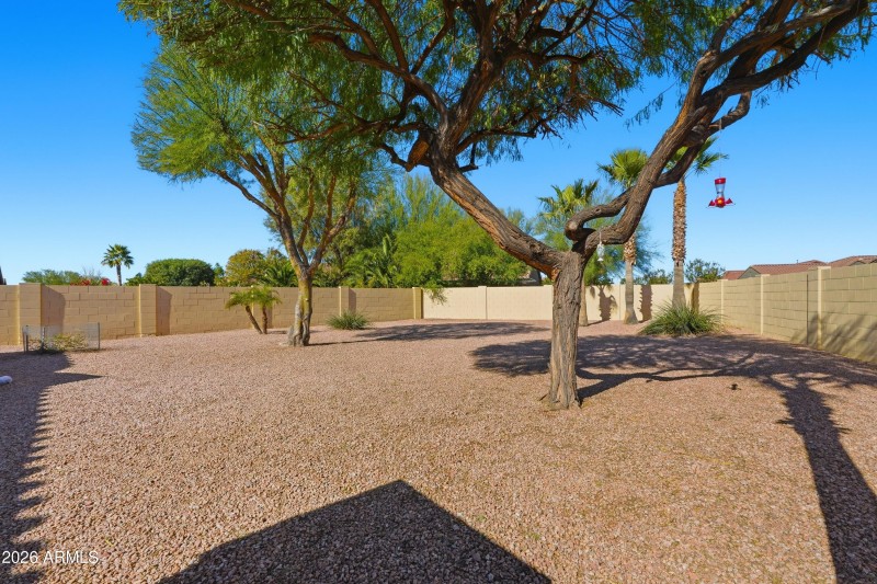 Huge Backyard