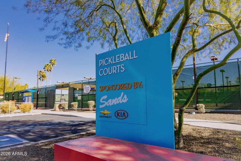Pickle ball