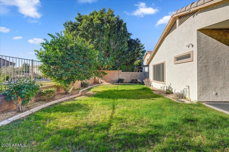 16-Backyard