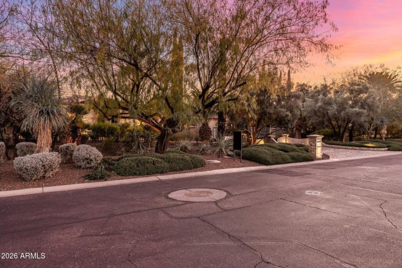 72-web-or-mls-D46A4481