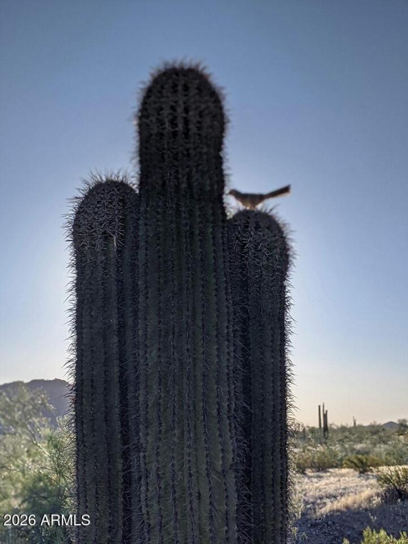 98316876_288604902537647_274799143686242