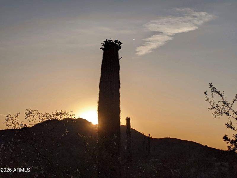 99136692_300933300903820_866994791287409