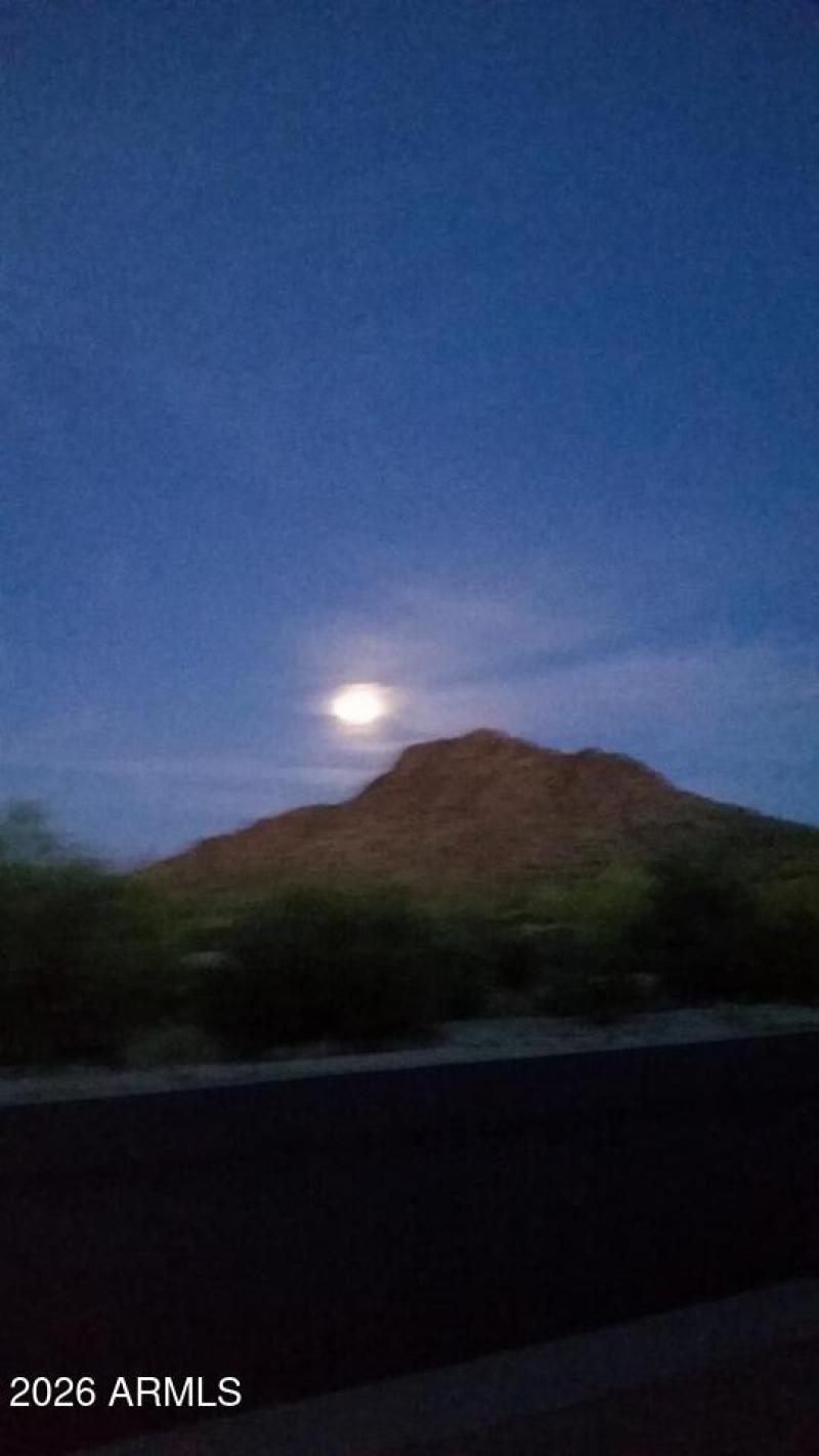 101046012_248927786358512_74683191770281