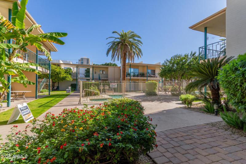 Community Common Area