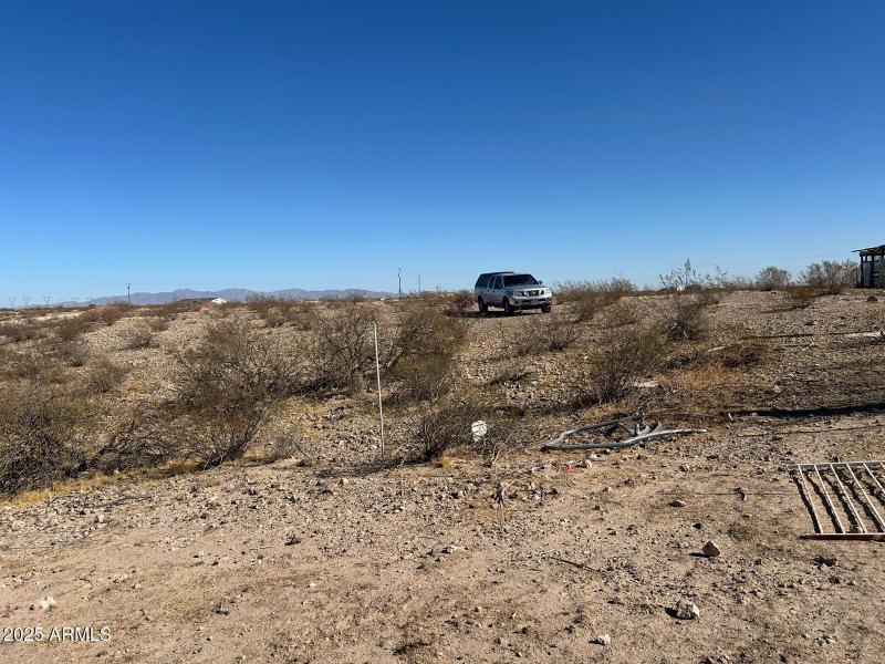 WhatsApp Image 2025-02-20 at 10.02.52 AM