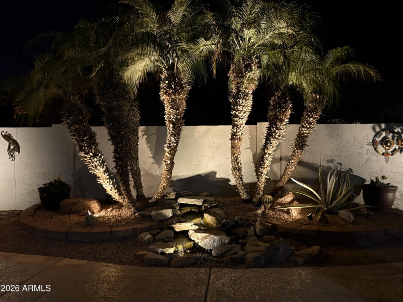 Backyard Waterfall nighttime2