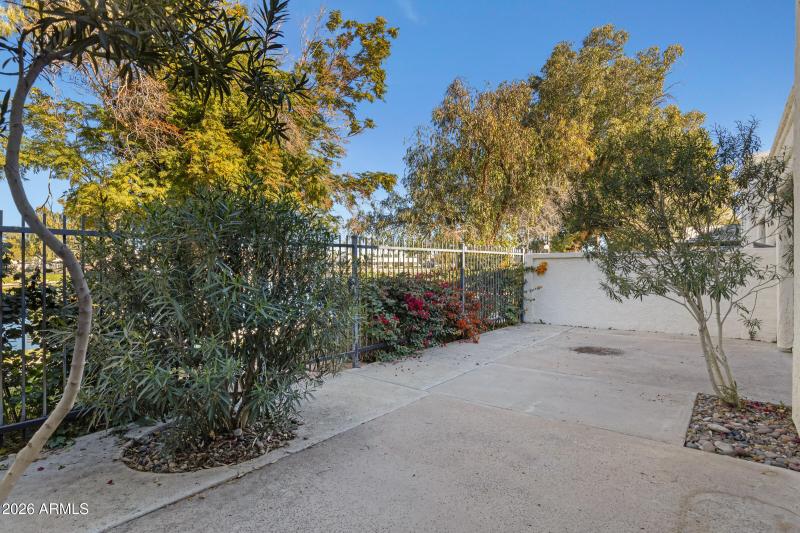 Back patio landscaping