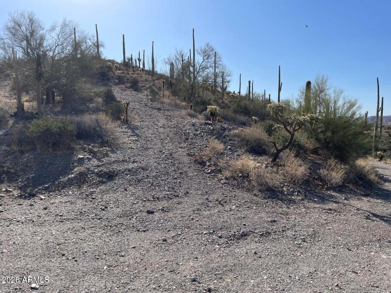 Parcel D Access road on the top slope th