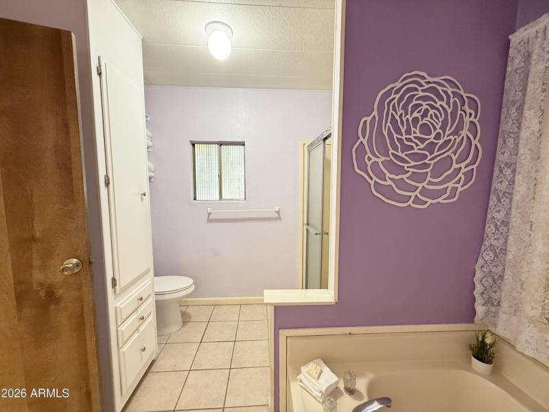 Large Shower in Main Bath