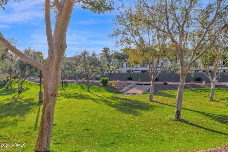 37-web-or-mls-P1448999