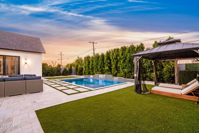 Extensive Ficus Privacy Hedges