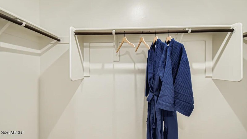 Owners Walk in Closet