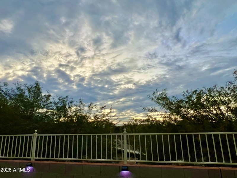 Backyard View
