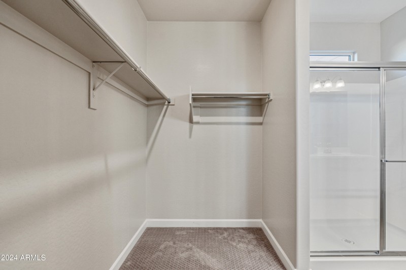 3734_Dove_Desert Moon_Buckeye_AZ_DRHorto