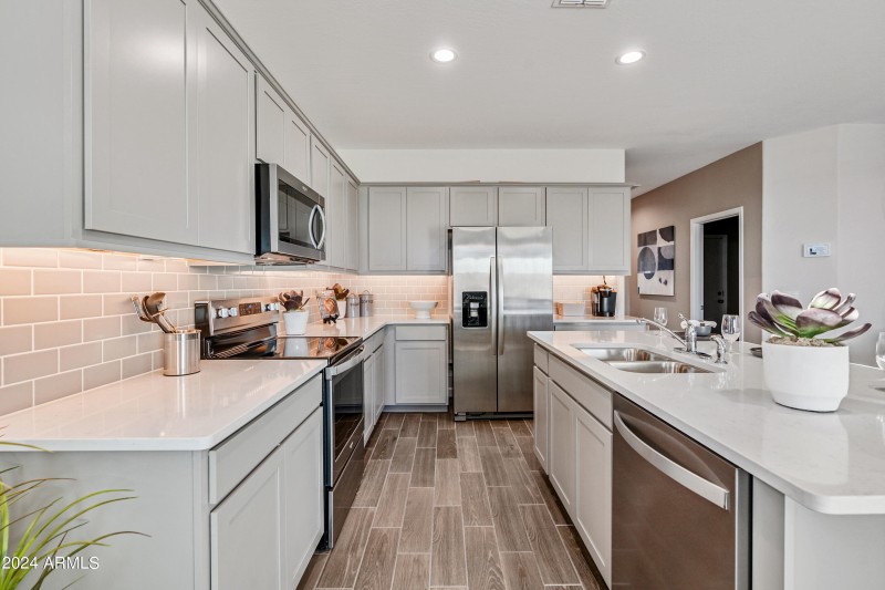 3734_Dove_Desert Moon_Buckeye_AZ_DRHorto