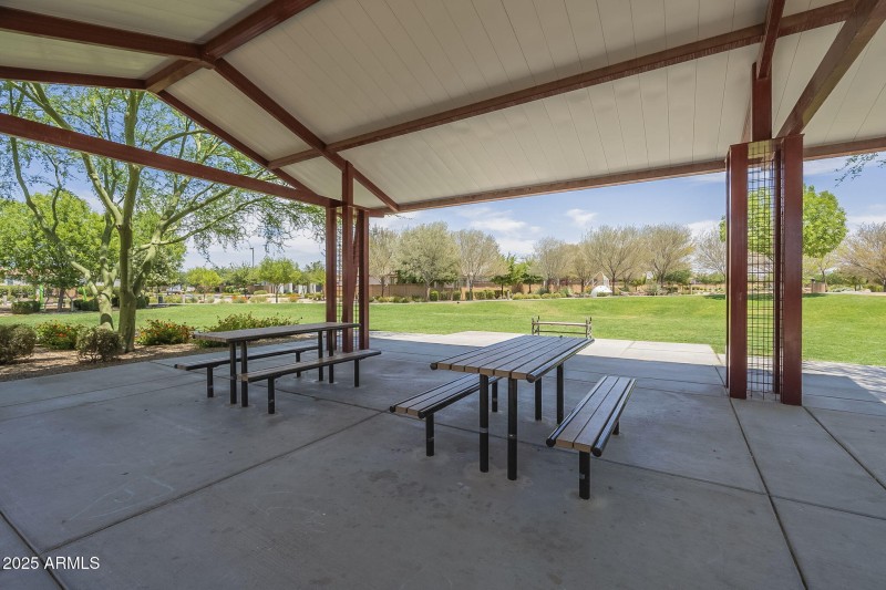 57-web-or-mls-Desert Spoon-57