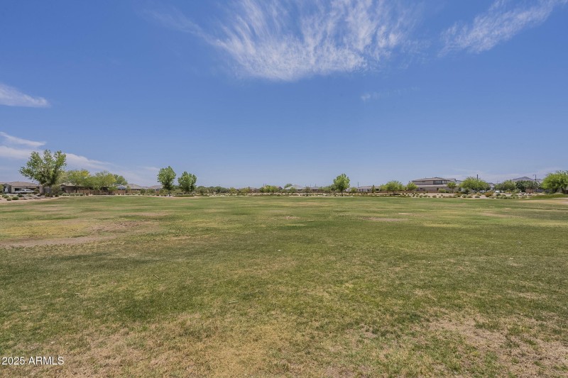 66-web-or-mls-Desert Spoon-66