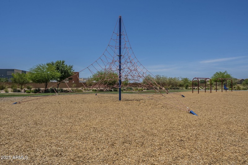 67-web-or-mls-Desert Spoon-67