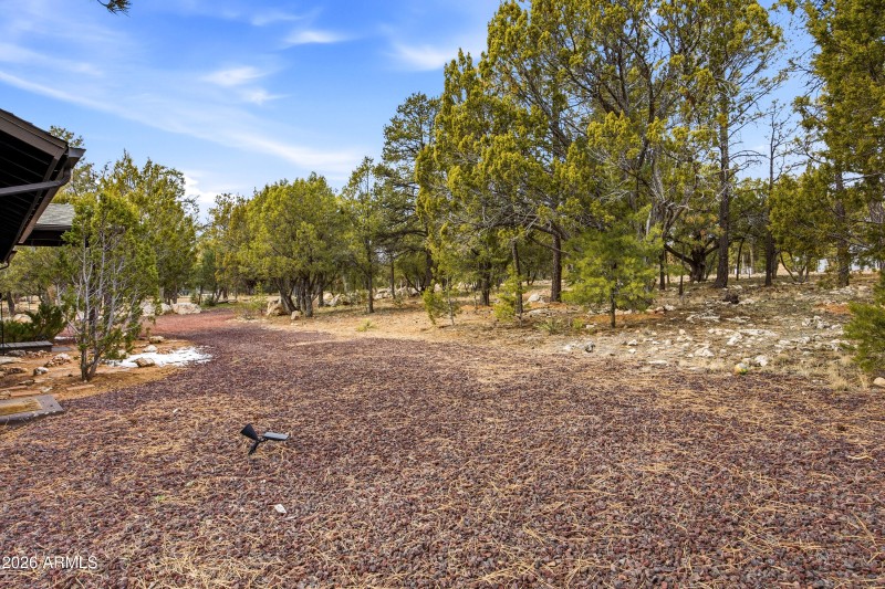 3113WhitetailWay-HeberOvergaard-AZ-2
