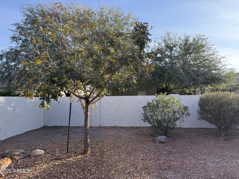 Newly Painted Privacy Wall