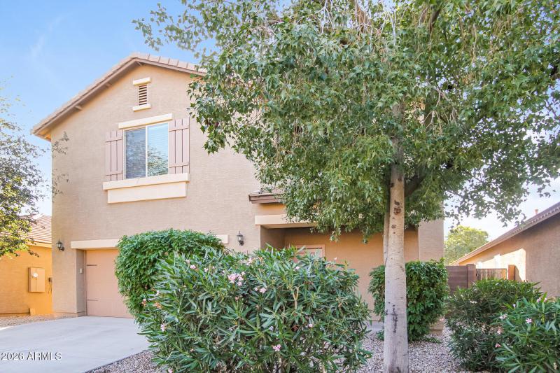 003-photo-front-view-15036955