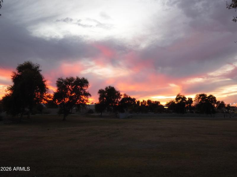 great sunsets from the dogpark and green