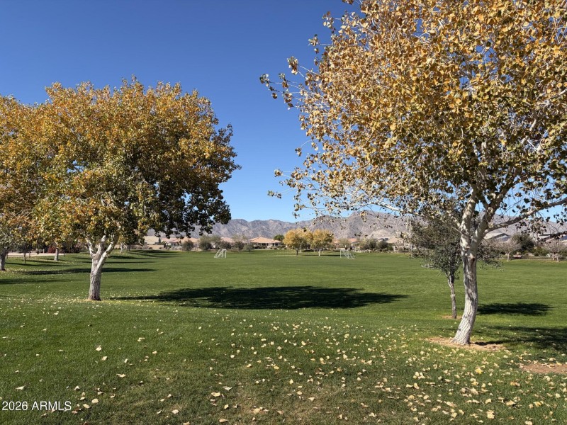 Community Park nearby