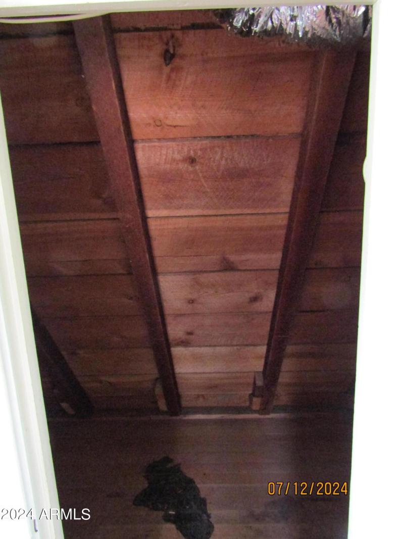eave storage closet