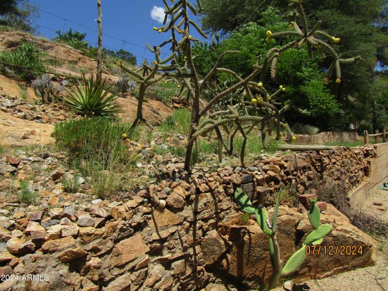 plenty of az spiky veg