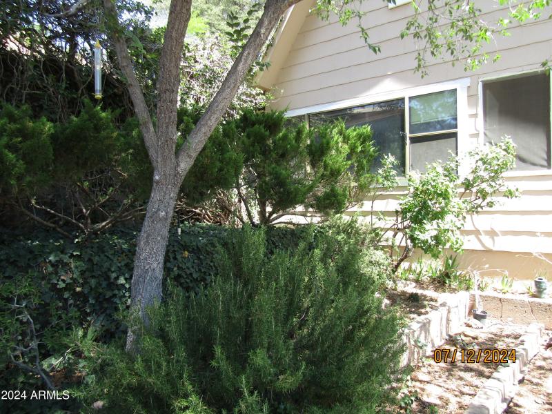 side yard shrubberies
